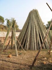 Bambus-dry